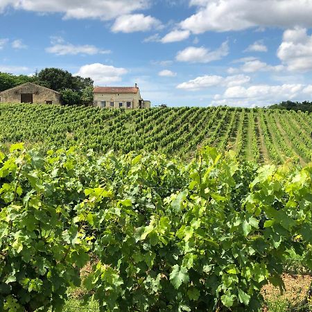 Chateau Le Truch Montussan Kültér fotó
